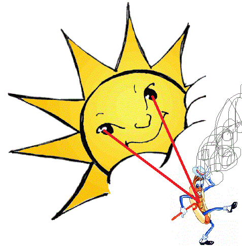 Satellite Dish Solar Cooker