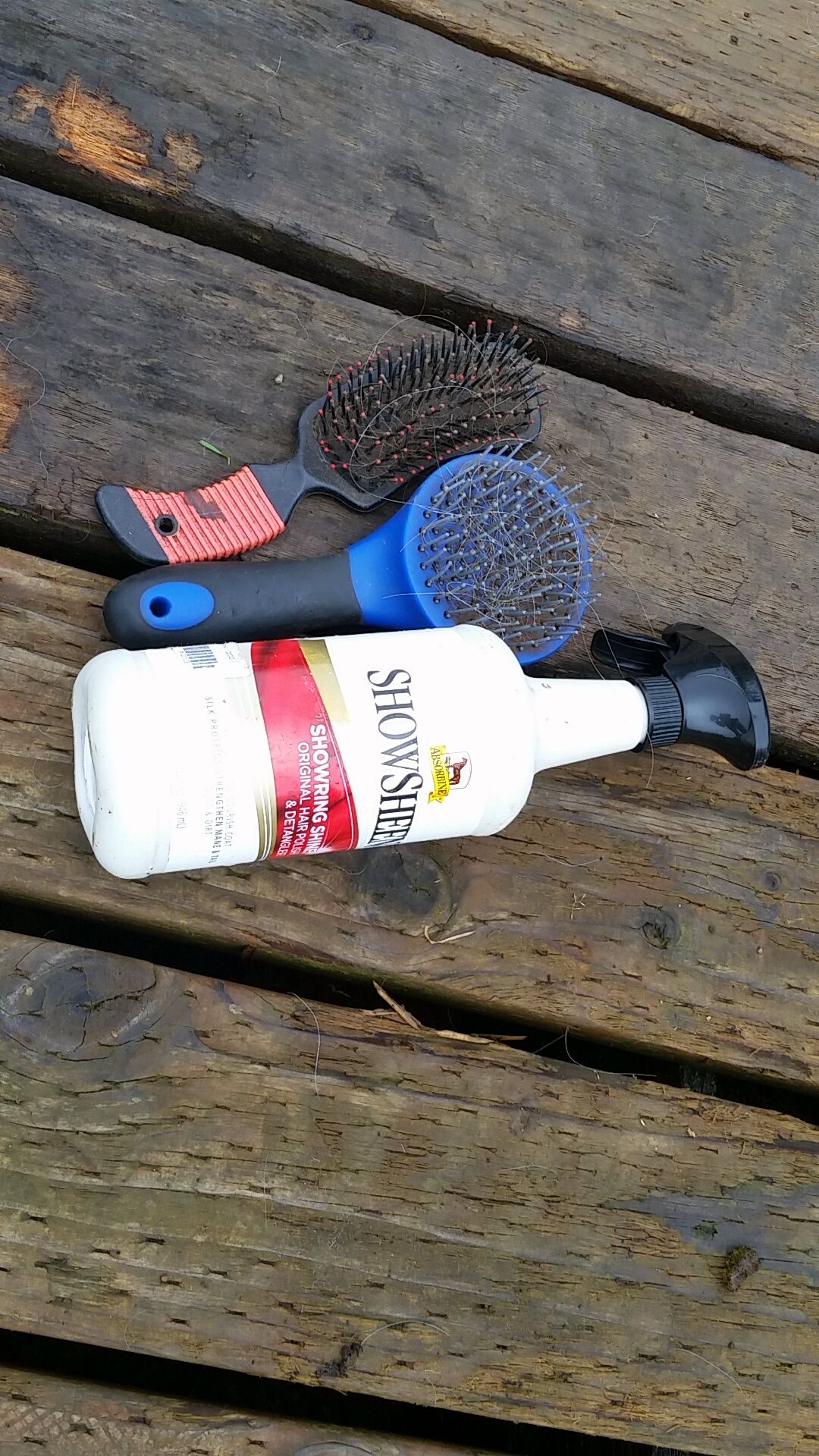 How to Groom a Horse and What You Need Instructables