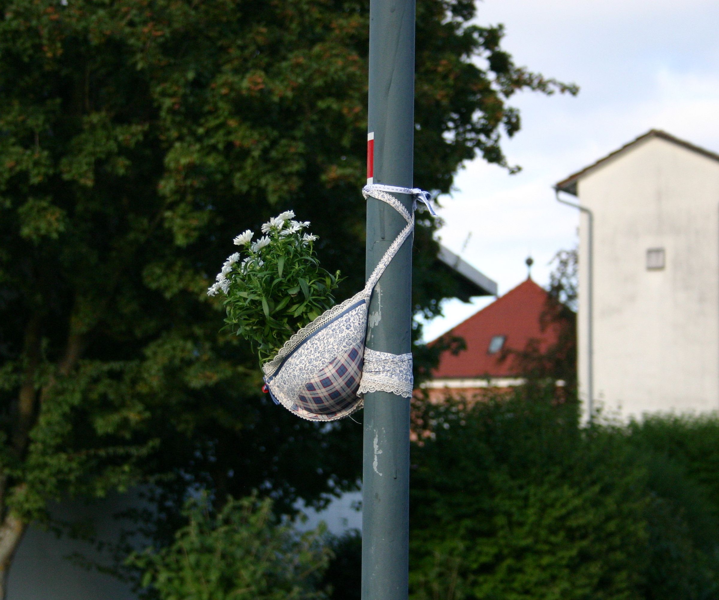 Guerilla Gardening With a Bra