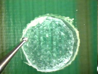 Smooth Out the Sidewalls Using the Dremel Tool and Smaller Ball Mill
