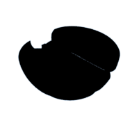 download {{ file.name }}