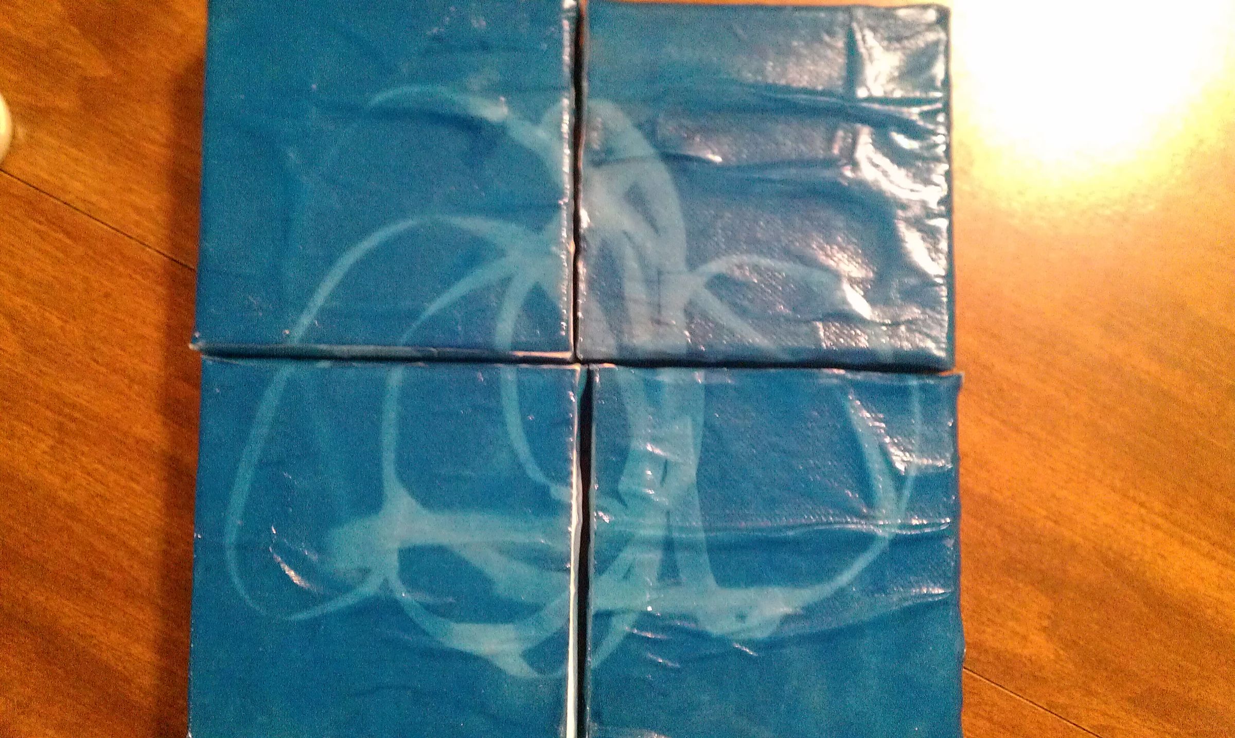 Capturing Translucent Shadows with Cyanotype