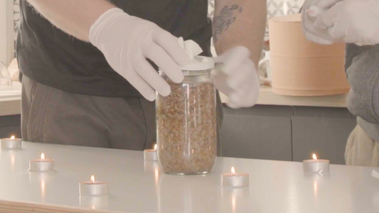 Grain Inoculation: Day 3