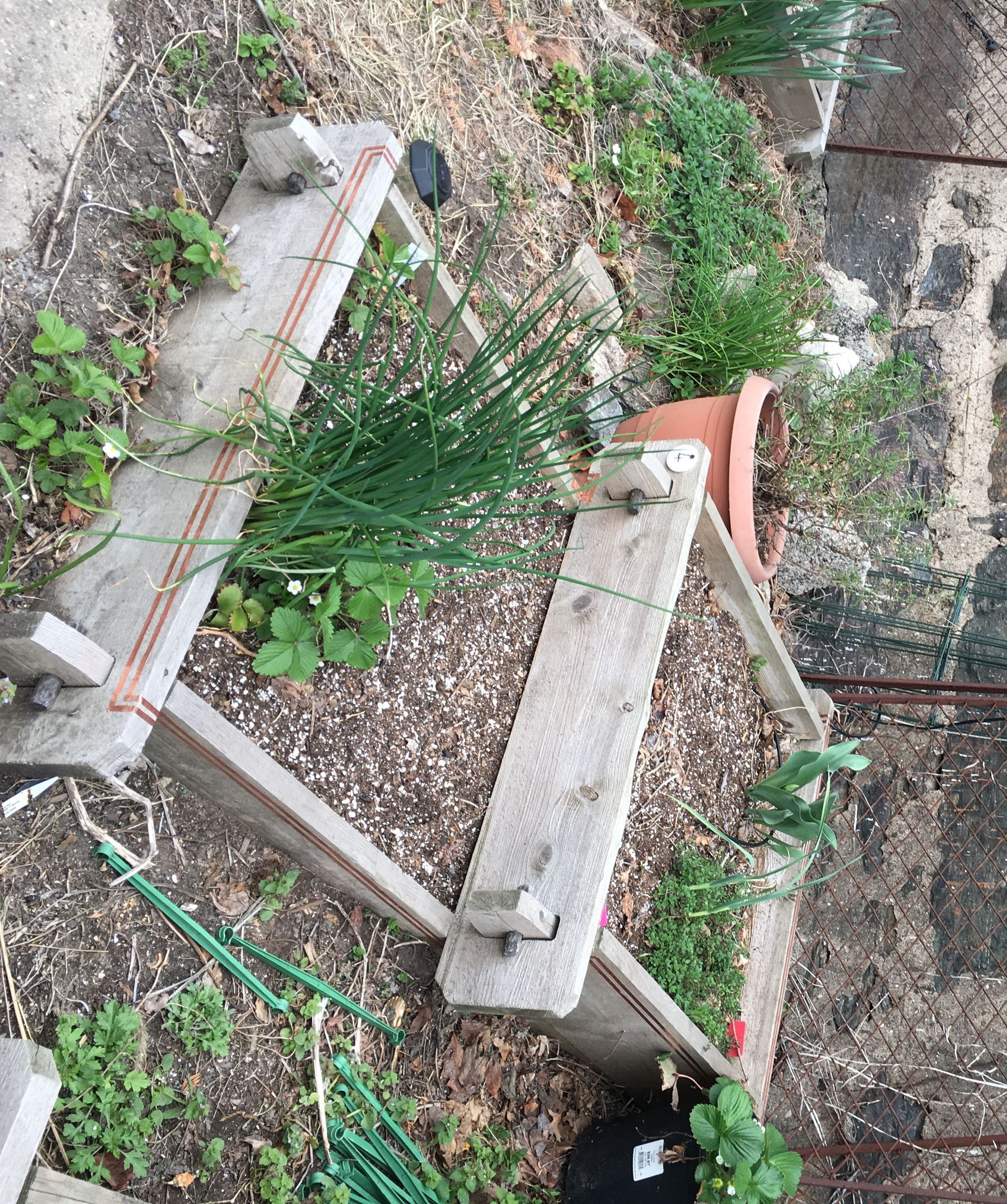 Slug-killing Electric Zapper Raised Bed