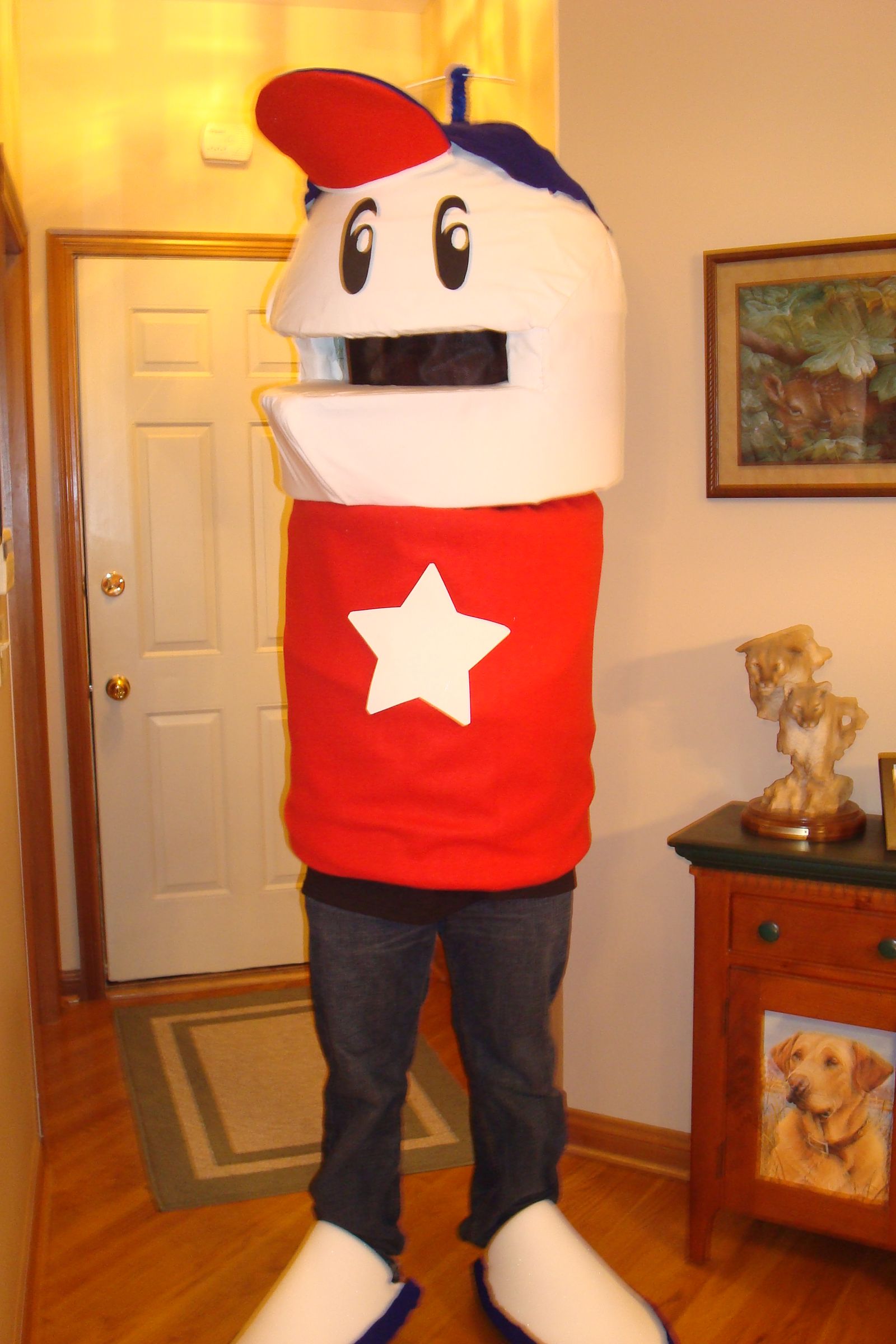 Homestar Runner Costume!!