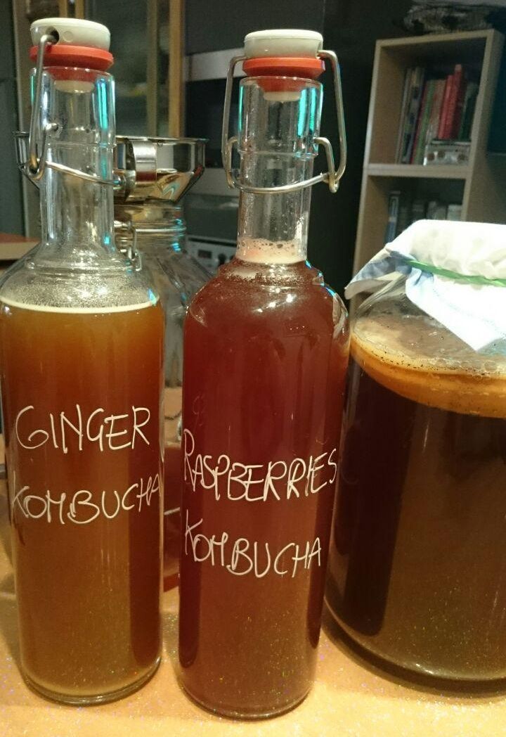 KOMBUCHA DRINK