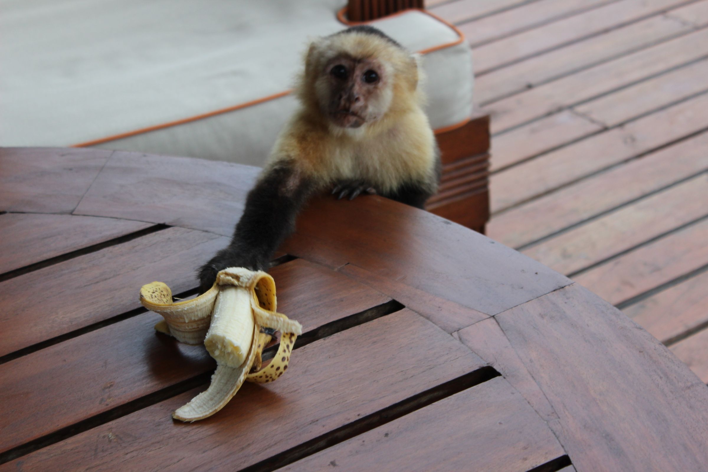 amaksimovichphotography