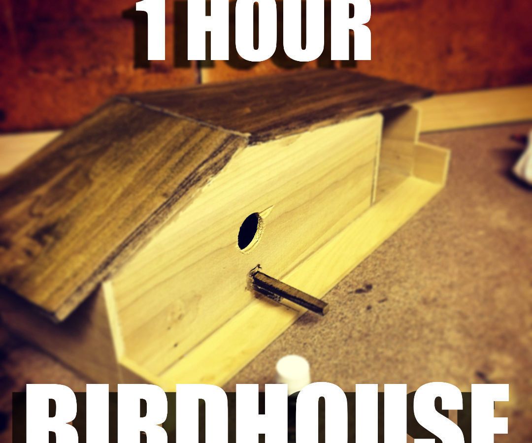 1 HOUR BIRDHOUSE 
