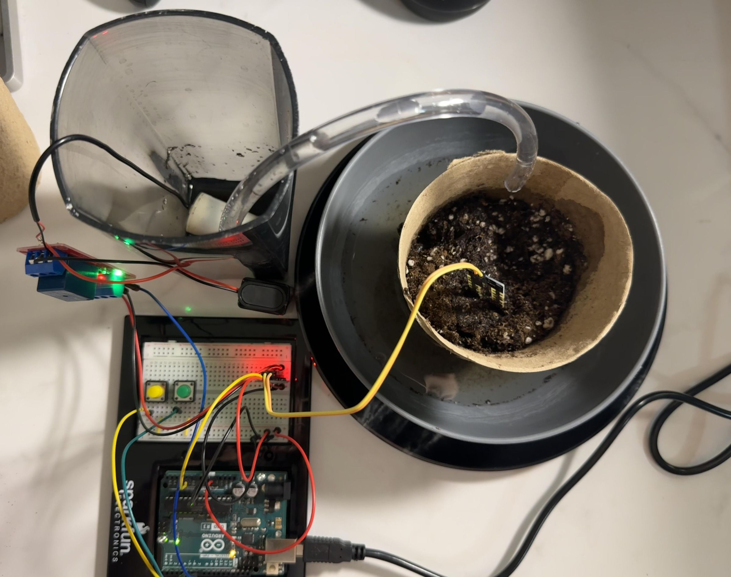Automated Plant Watering System : 5 Steps - Instructables