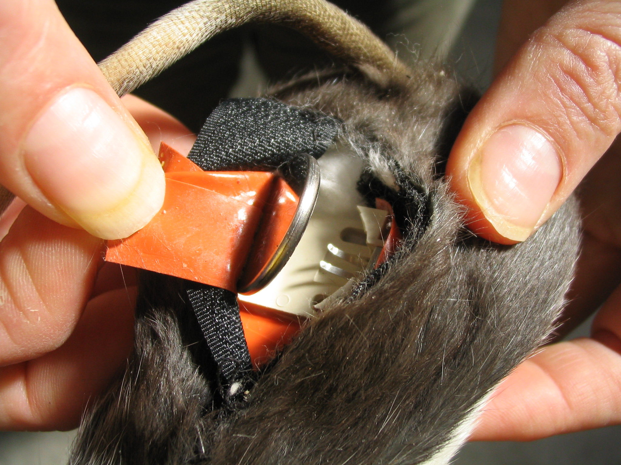 Battery Access Hatch for LED Throwie Rat