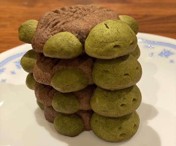 Matcha and Chocolate Turtle Cookies
