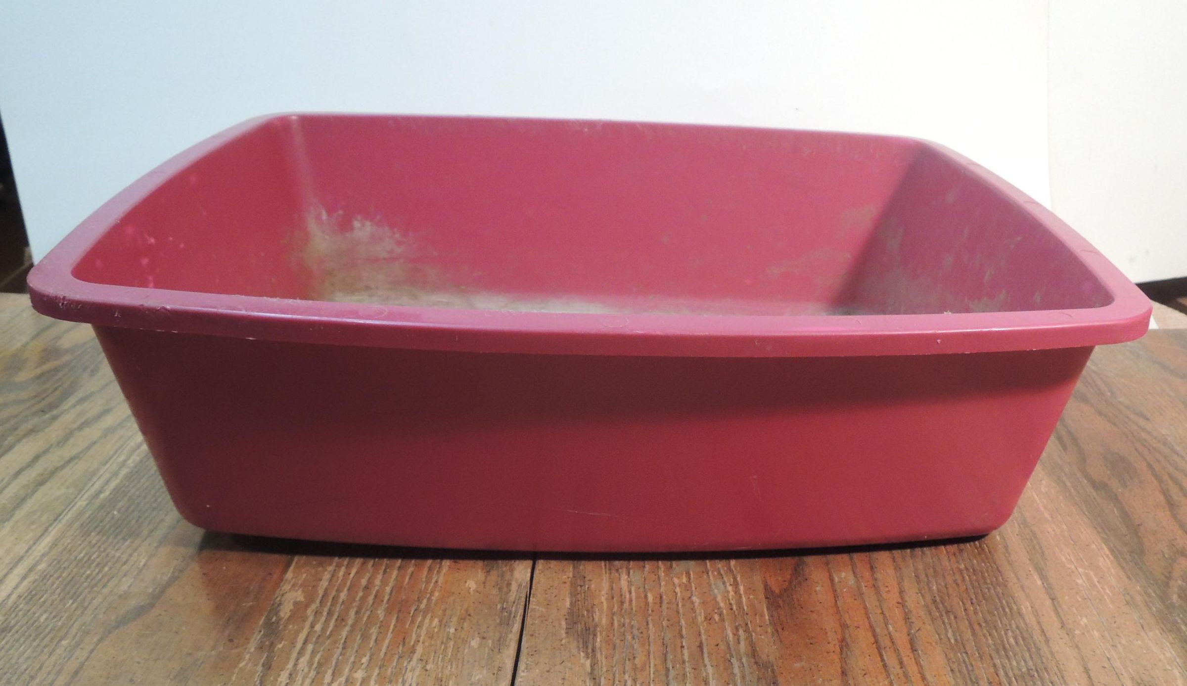 Souped Up Cat/Bunny Litter Box W/ Handicapped Access 5 Steps (with