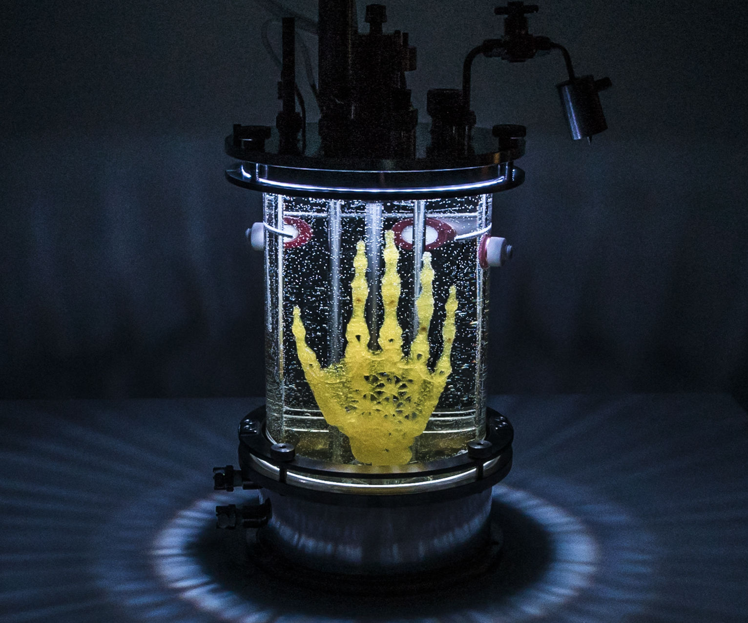 ​3D Printed Scaffolds for Cell Culture