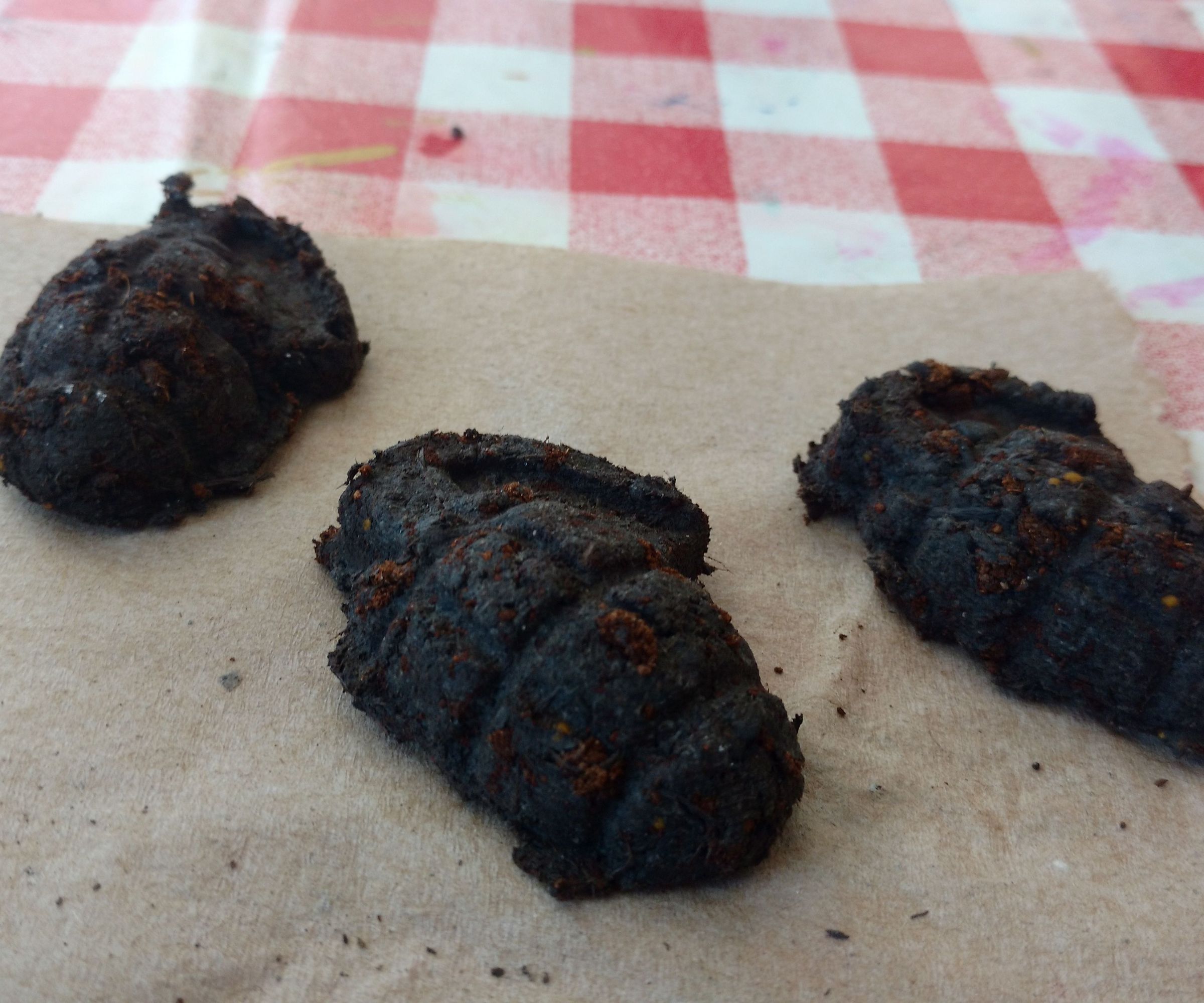 Custom Molded Flower Seed Bombs