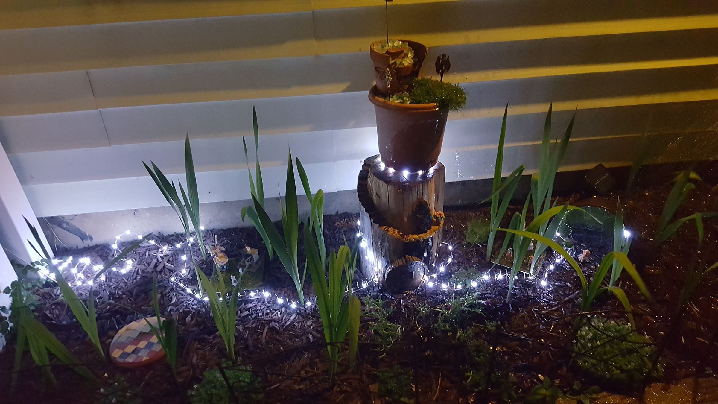 Fiance's Fairy Garden
