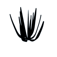 download {{ file.name }}