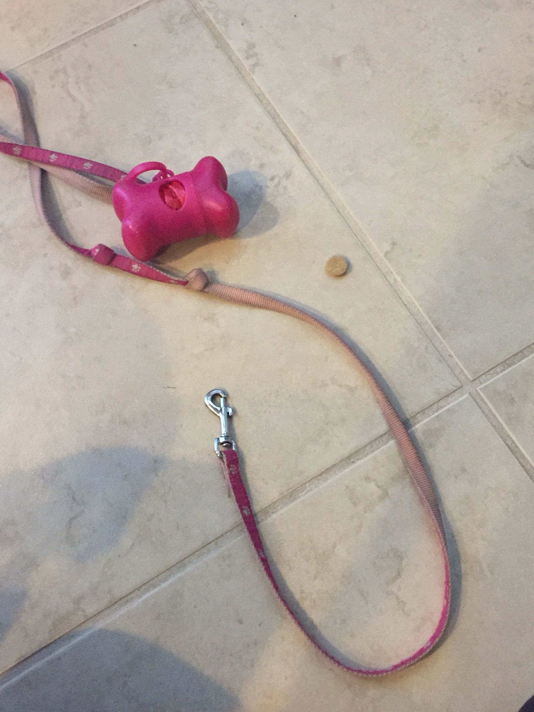 How to Bell Train a Dog 13 Steps (with Pictures) Instructables