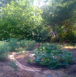 spiral patterned " layer " garden
