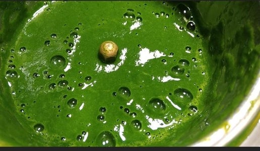 Blanching  of Palak / Spinach 