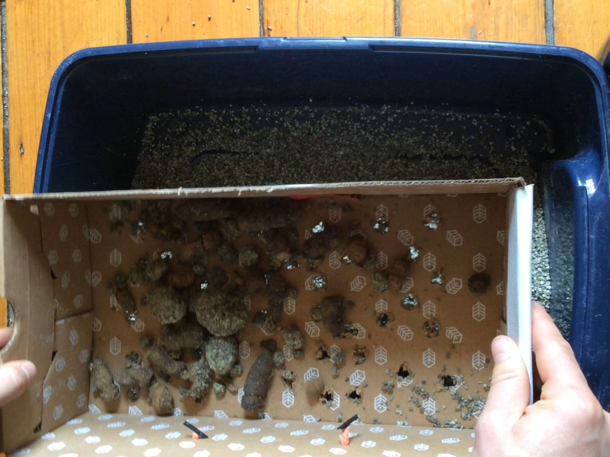 Rock Your Litter Box! a Litter Box Hack for the Rest of Us. 6 Steps