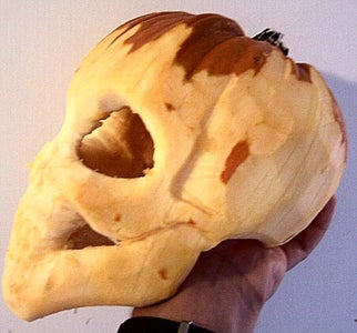 Skull Pumpkin