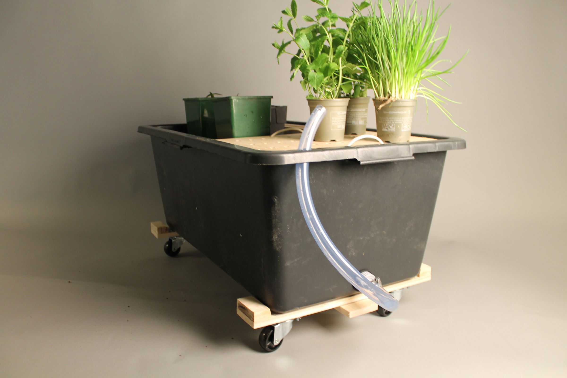 Self watering bin