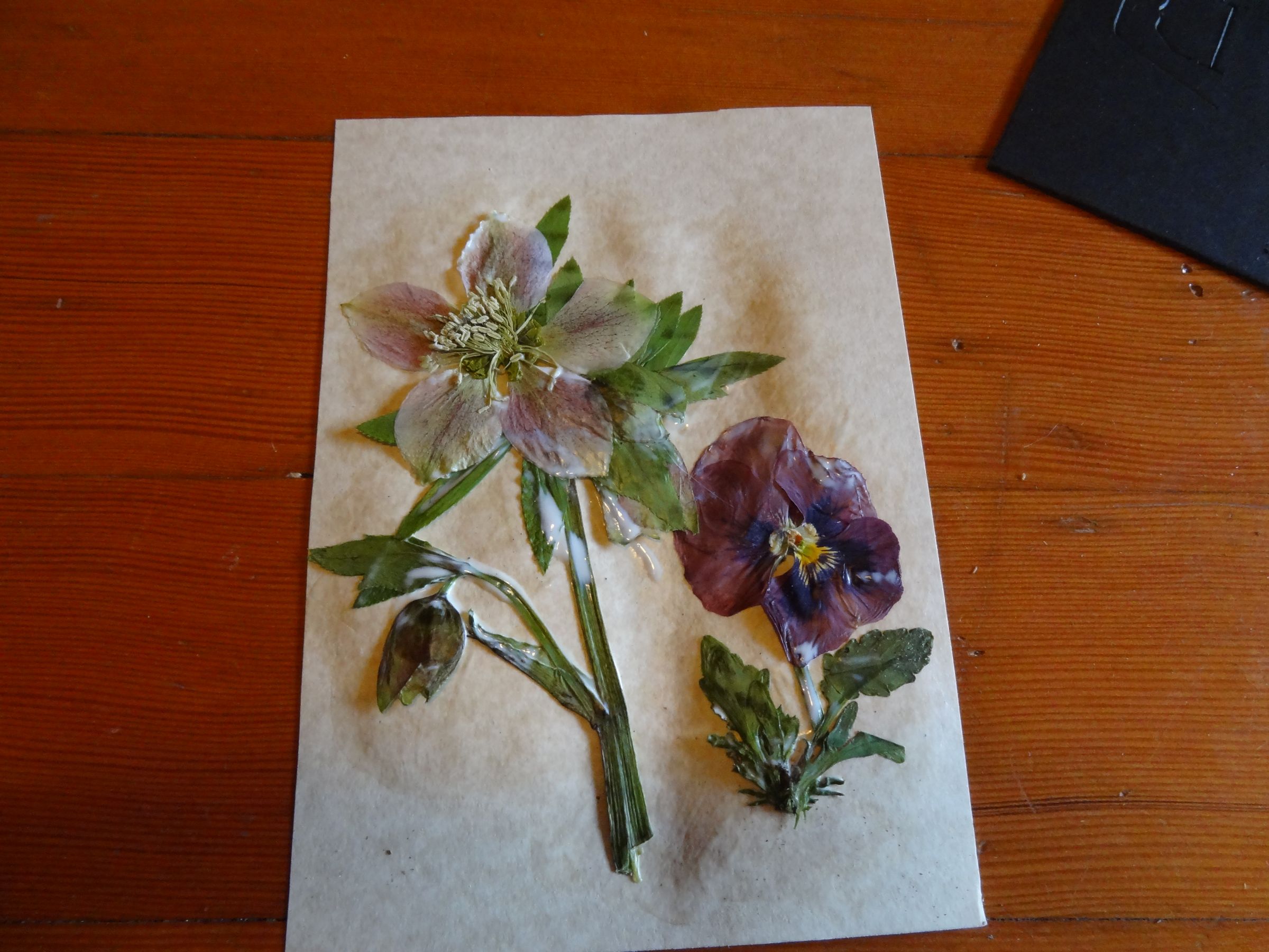 Framed Pressed Flowers *with Mod Podge 4 Steps Instructables