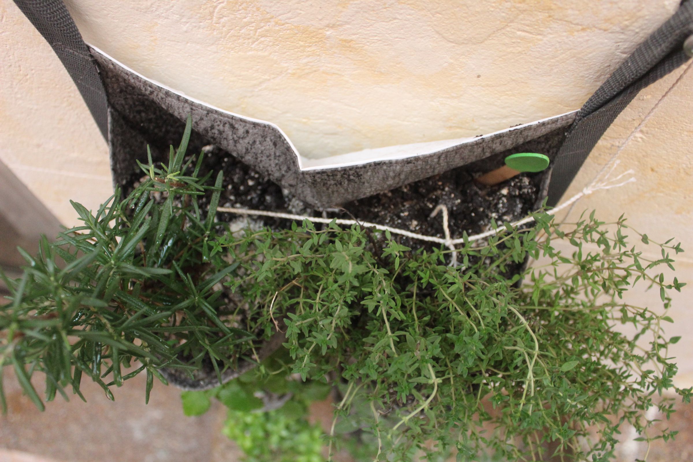 Wick Watering System 3 Steps (with Pictures) Instructables