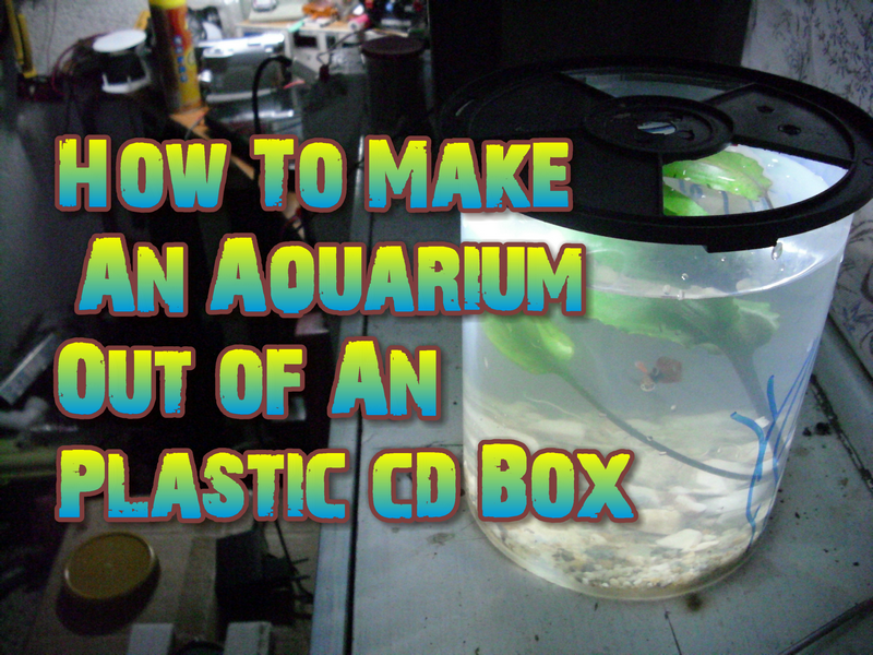 How to Make an Aquarium Out of an Plastic CD Box