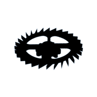 download {{ file.name }}