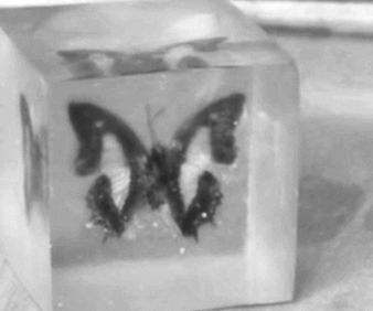 How to Include in Crystal Resin ? 
