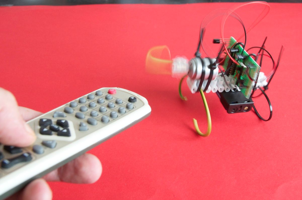 RC Circuit for a Bibberbeest / Vibrobot