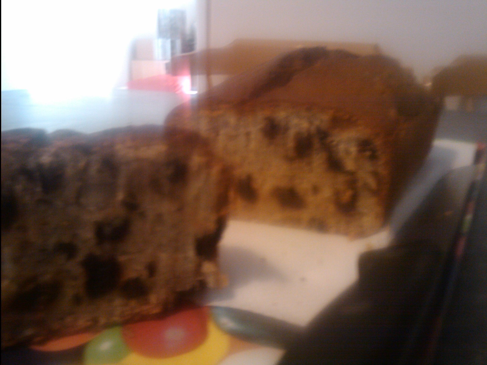 Banana nut and fruit bread