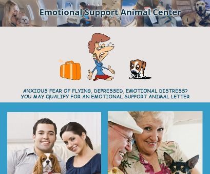 Emotional Support Animal Center Infographics