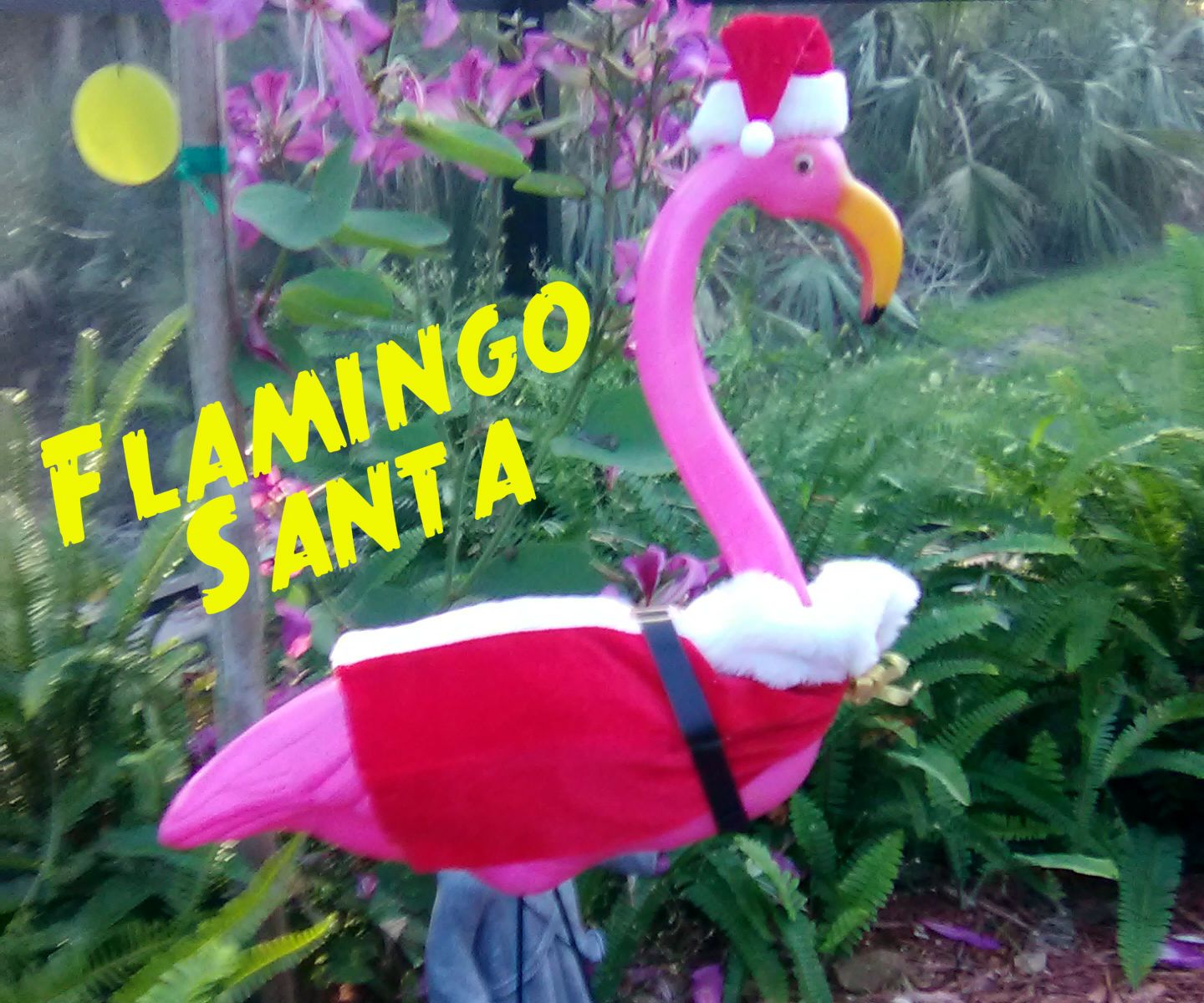 Flamingo Santa