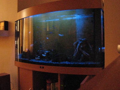 Fish Tank LED Moonlight / Moonlighting