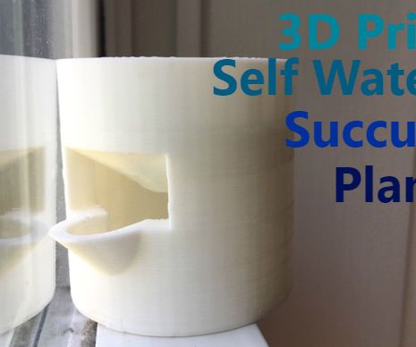 [3D Printed] Self Watering Succulent Planter
