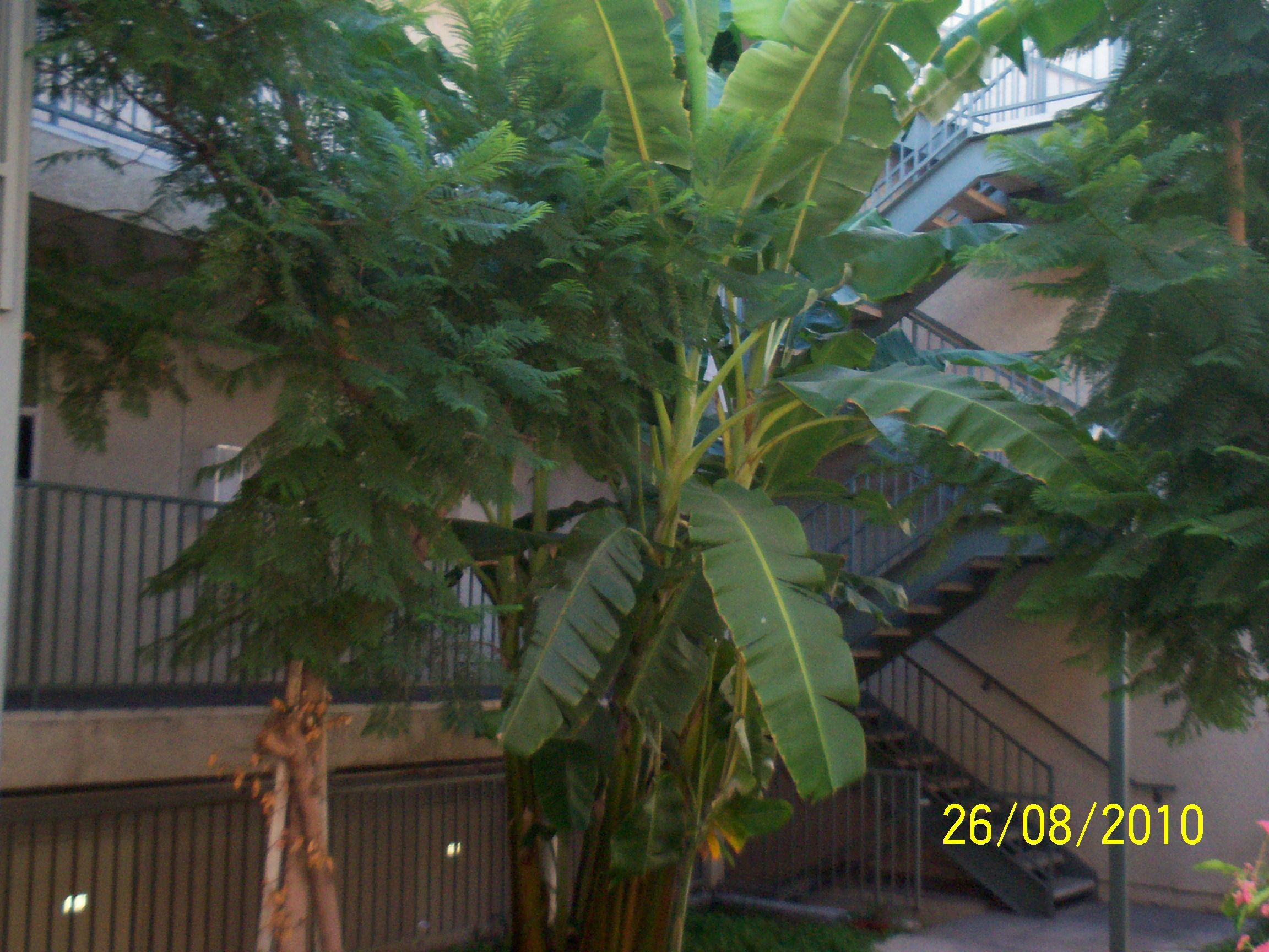 My Responsiblity to Get 1 Dollar a Week