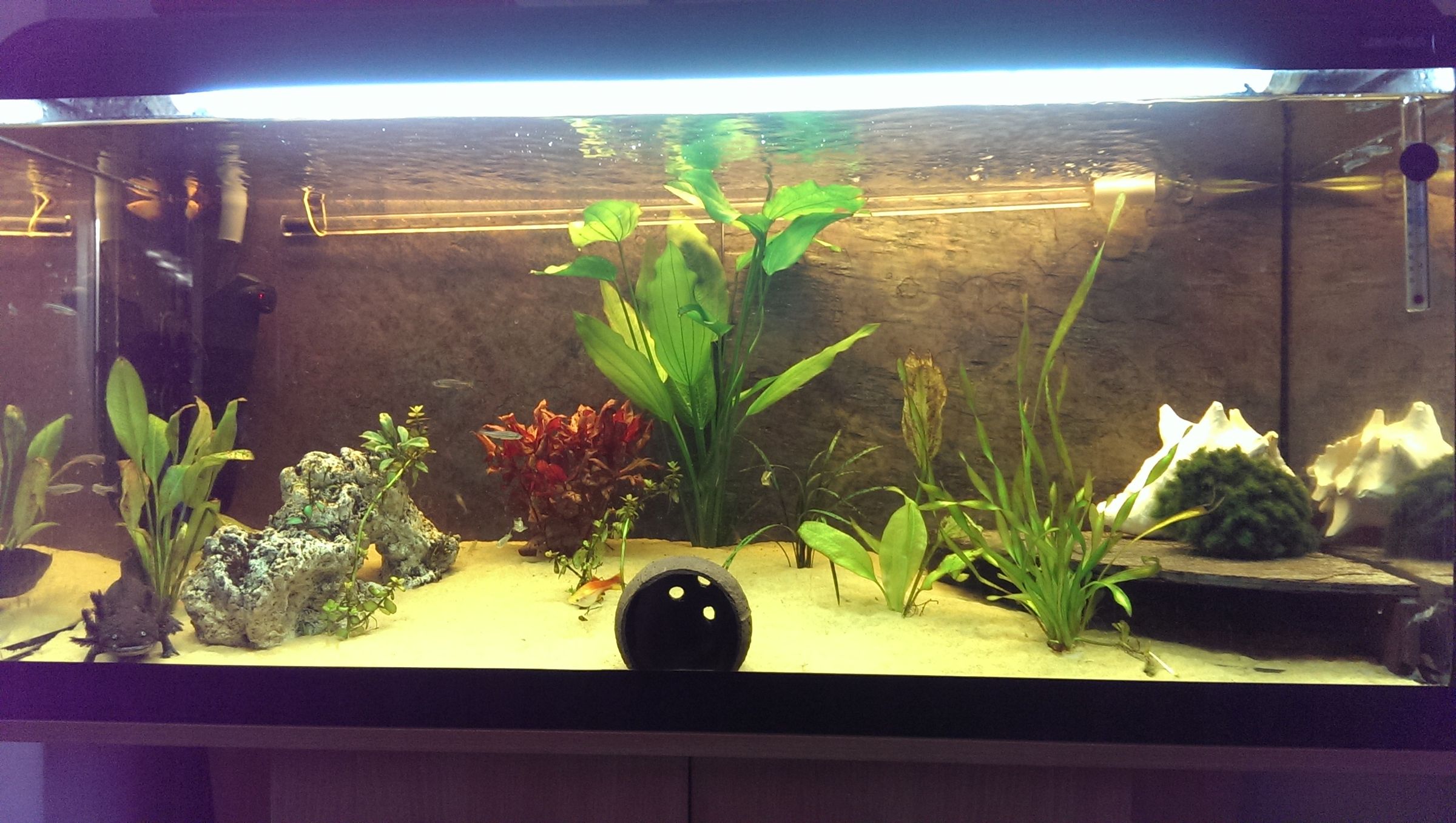 RGB Aquarium Lights With Sunsets and Sunrises 4 Steps (with Pictures