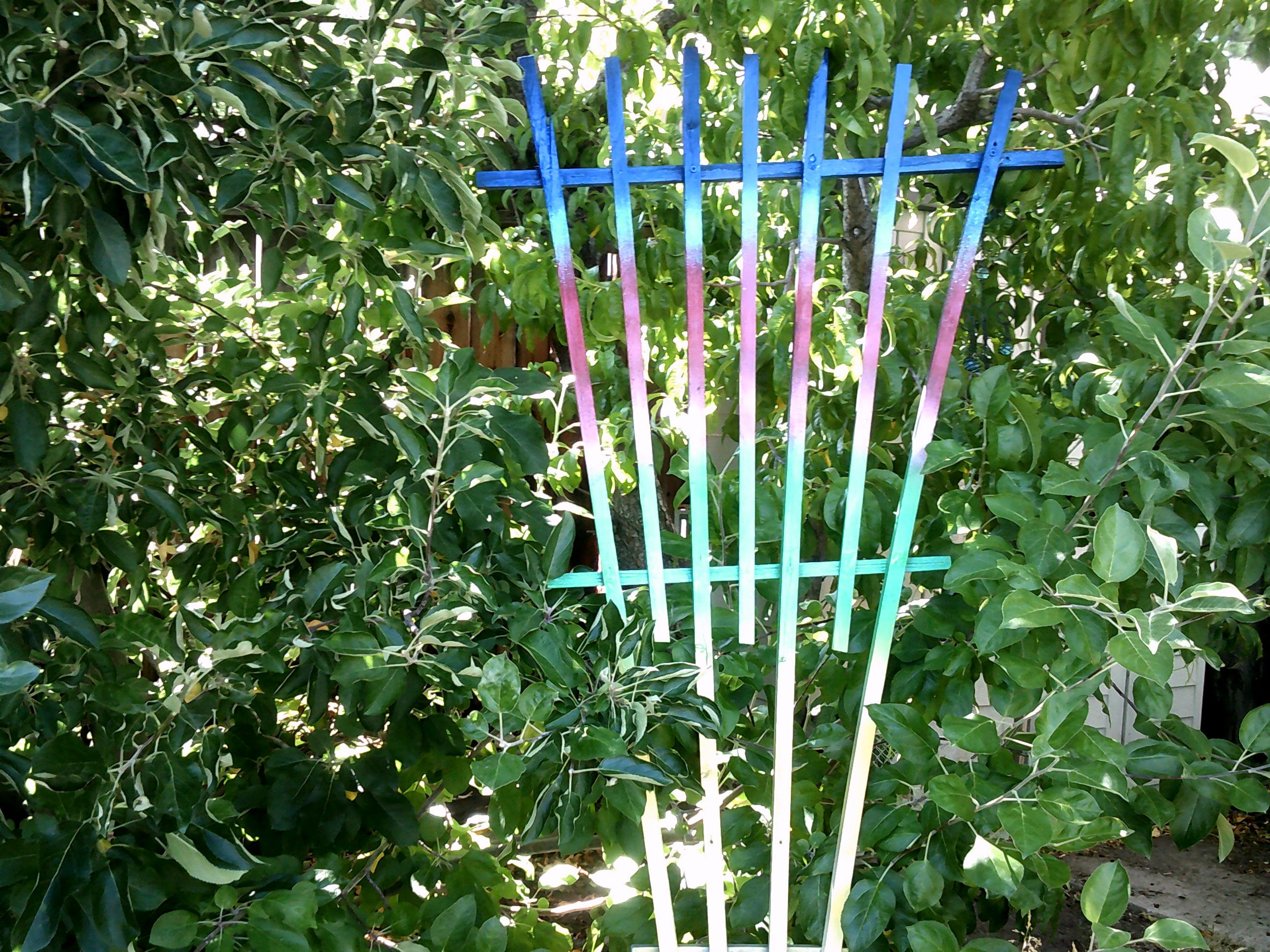 Garden Rainbow 5 Steps (with Pictures) Instructables