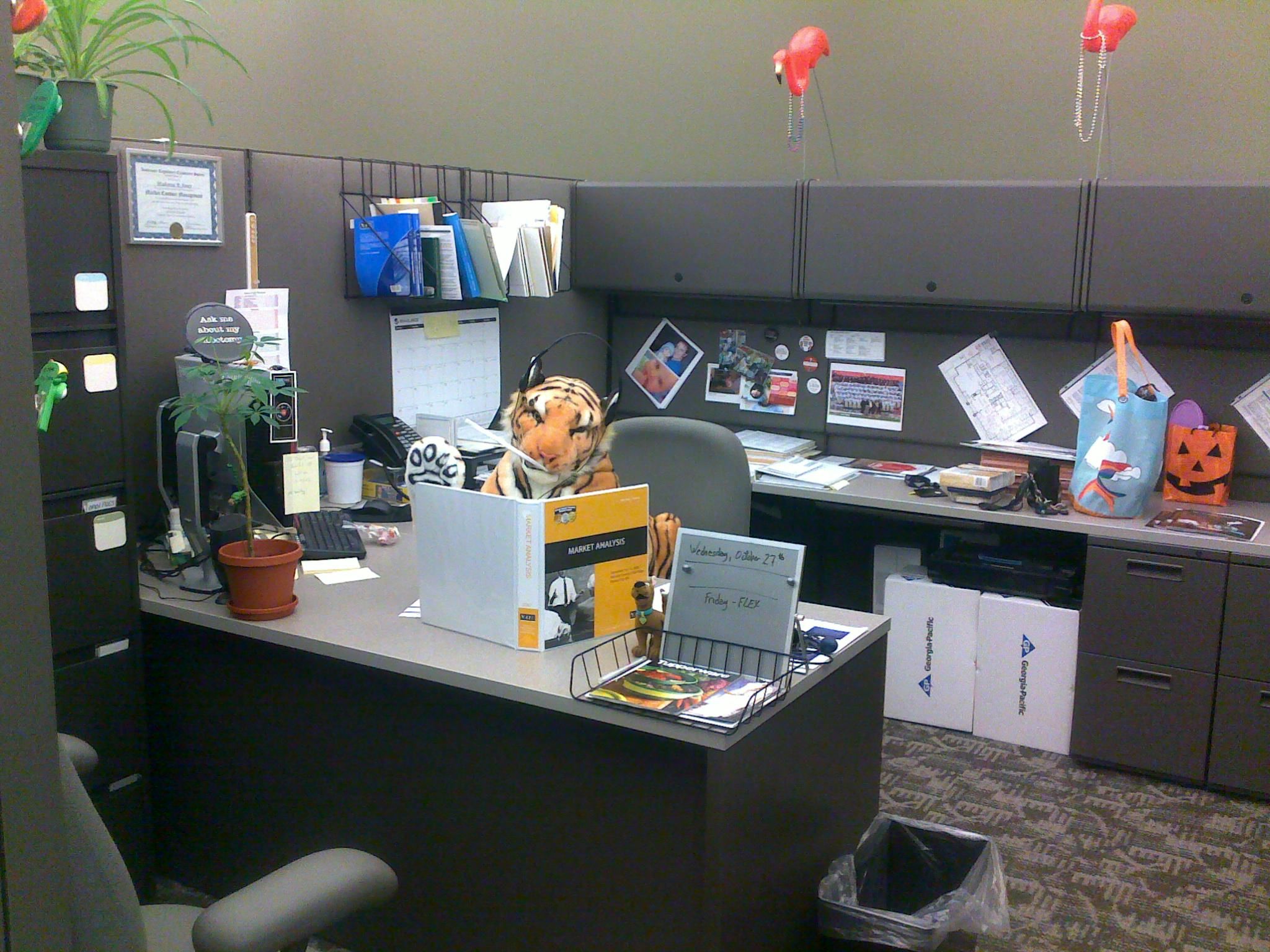 Revenge of "Cubicle Tiger"