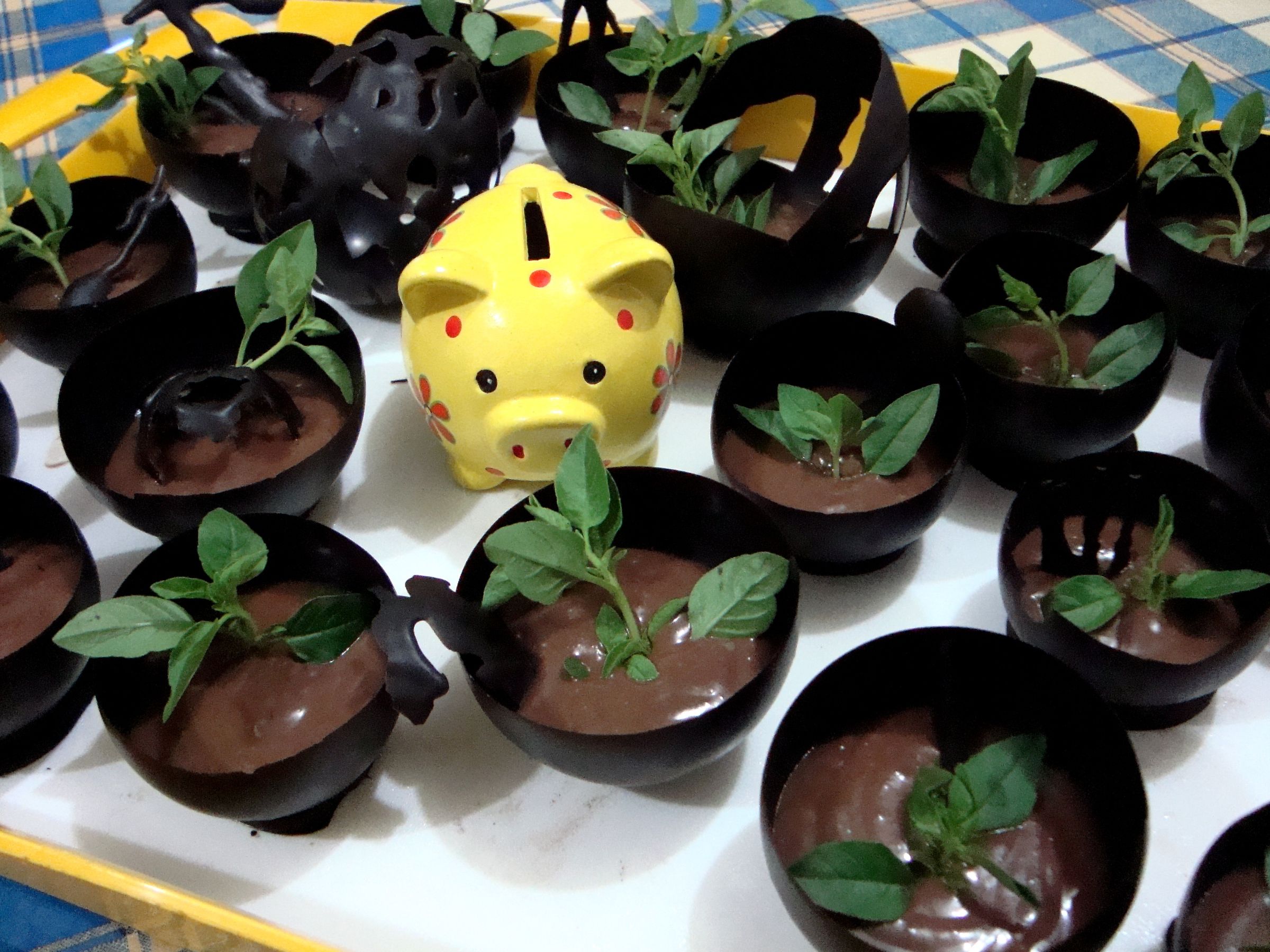 Basil Choco Mousse in Chocolate Cups :P