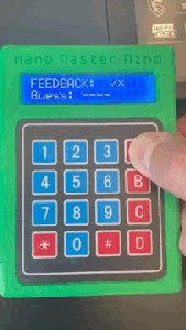 Electronic Nano Master Mind