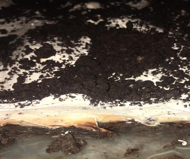 Delicious No-Bake Mud Pie