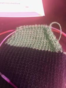 The Heel