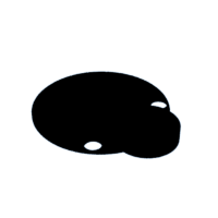 download {{ file.name }}