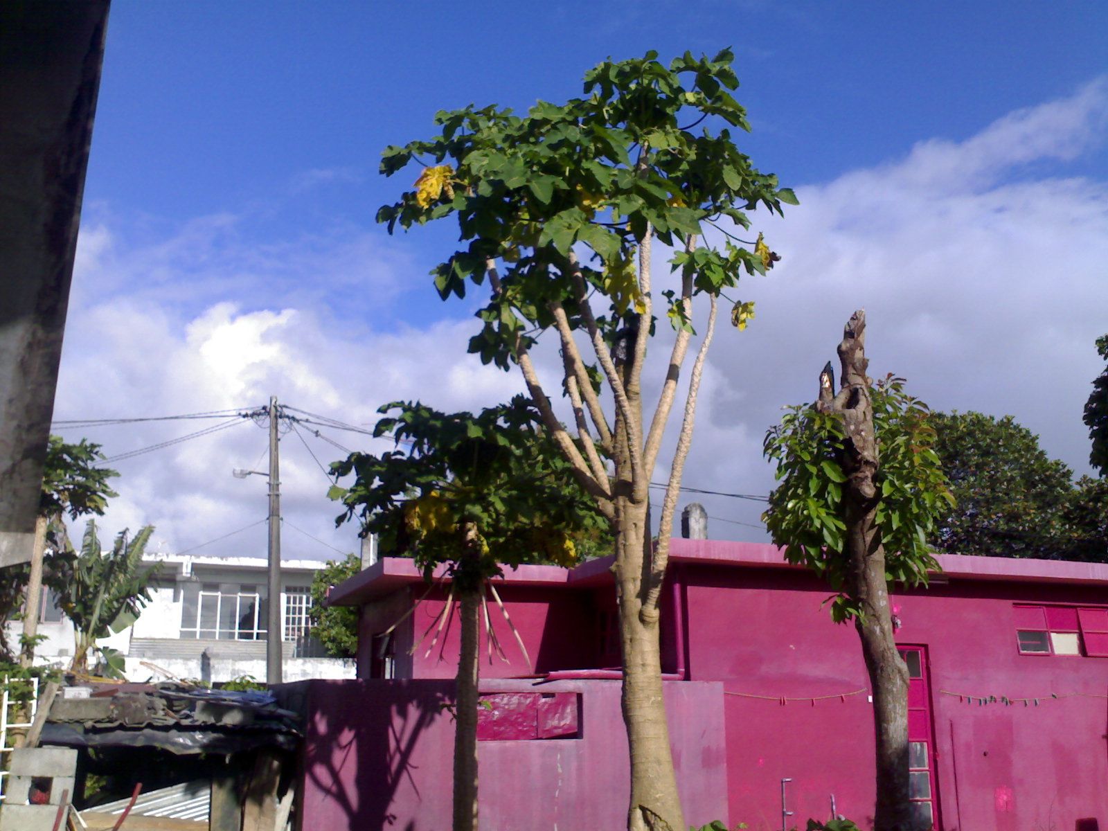 My Horizontal Axis Wind Turbine