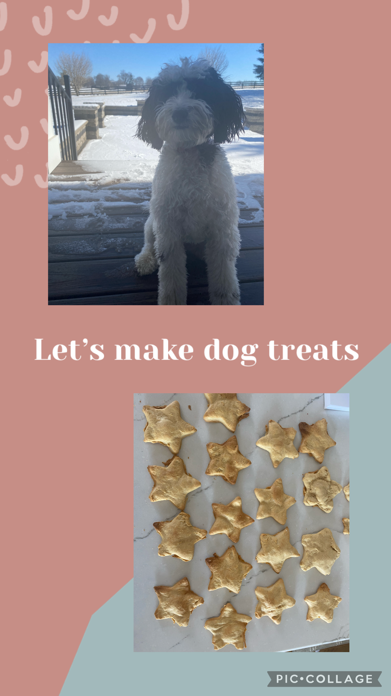 Make Your Own Dog Treats! 13 Steps Instructables