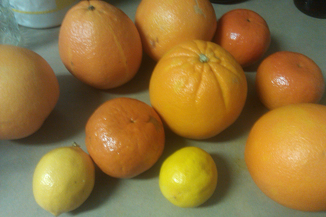 Tipsy Orange Marmalade - Crockpot