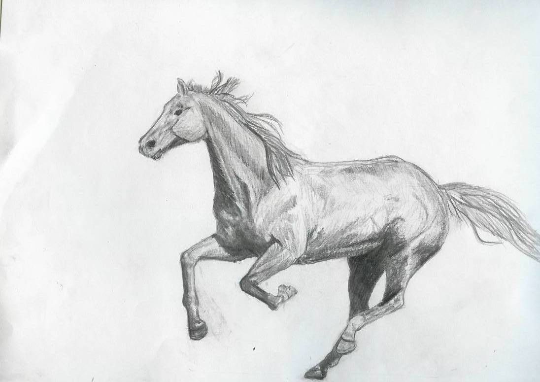 How to Draw a Horse